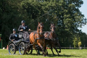 dressuur en vaardigheid  nienoord 10-8-2015  joshua keller-0512        